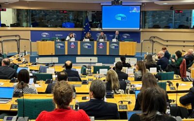 Malgieri intervened at the European Parliament as a Keynote Speaker on the AI Act